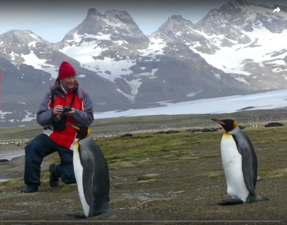 Jens the Penguin