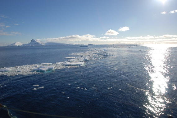 ice floes and sun