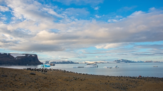M/V Ortelius at devil's island, antarctica, dec 2016