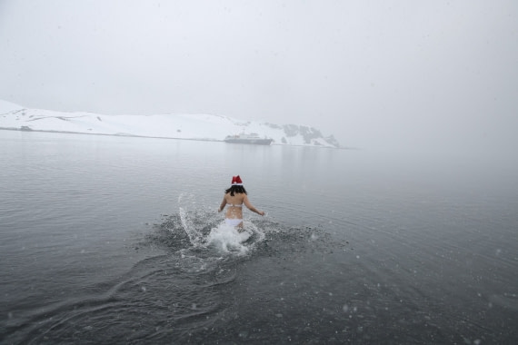 Polar Plunge