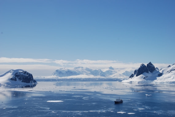 plancius in bay