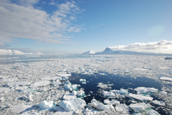 ice flow from Plancius