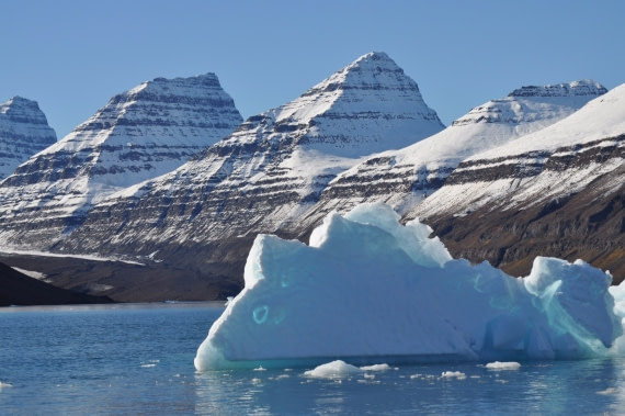 Iced fish