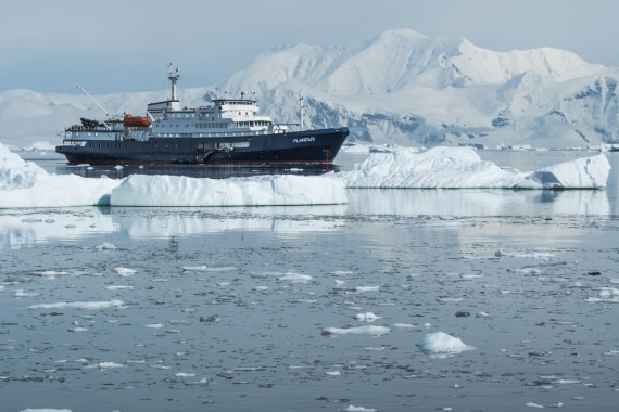 Neko Harbour mit Eselpinguinen