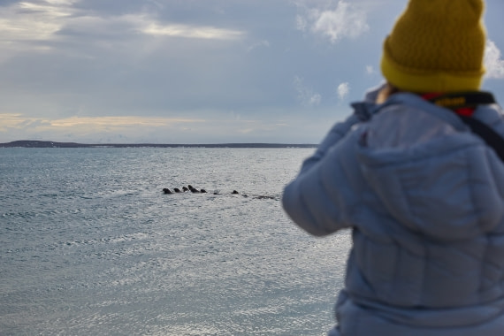 North Spitsbergen Polar Bear Special, June © Markus Eichenberger-Oceanwide Expeditions (95).jpg