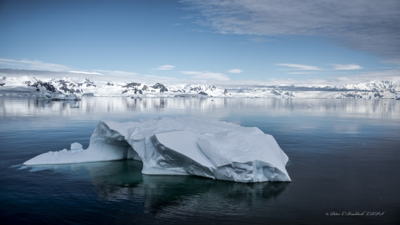 Ice!