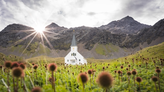 Falklands, South Georgia, Ant Peninsula © Fotografie Dietmar Denger-Oceanwide Expeditions146.jpg
