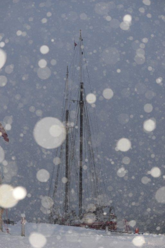 Snowy Noorderlicht