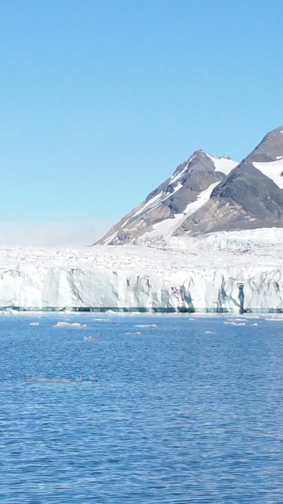 Arctic View from deck of Ortelius