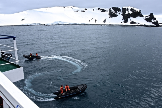 Zodiacs heading to half moon island, m/v Ortelius dec 2016