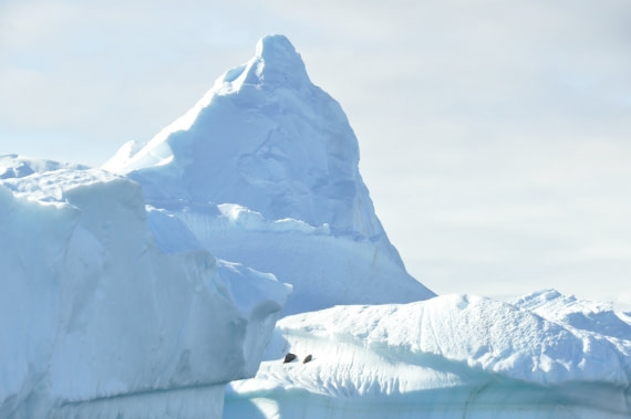 Iceberg Cervino