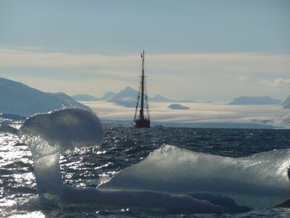 Noorderlicht , Kongsfjorden , Kronebreen