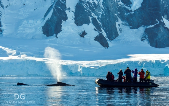 Close encounter.