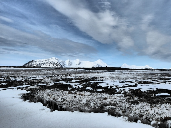 Prins Karls Forland Svalbard 05 2017