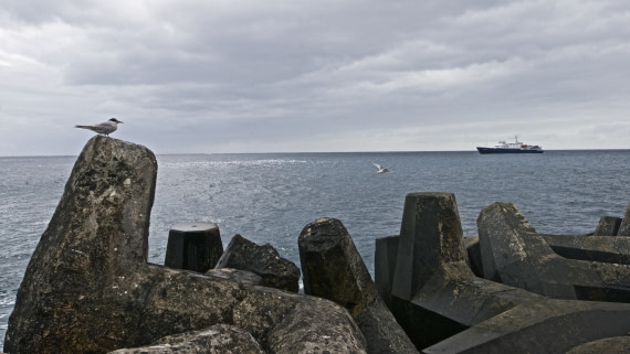 Plancius at anchor, tristan du cunha,atlantic odyssey 2017