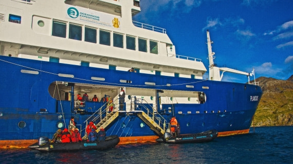 Godthul (Good Cove). So Georgia island, M/V Plancius, dual loading ramps, Atlantic Odyssey mar/apr 2017