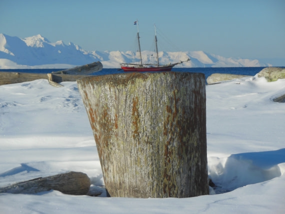 Driftwood from Siberia at Poolepynten 78°26'98 N