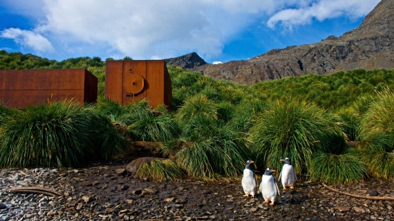 Godthul, whale processing facility, so georgia island, M/V PLancius, Atlantic Odyssey 2017