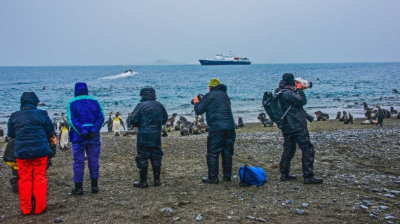 Expedition members landed on Salisbury plane, South georgia island, M/V PLancius, atlantic odyssey mar/apr 2017