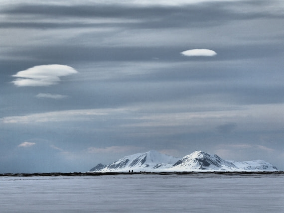 Prins Karls Forland Svalbard 05 2017