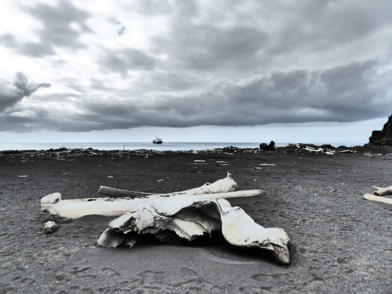Ortelius seen from Kvalrossbukta at Jan Mayen
