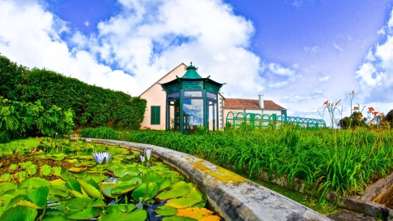 Lily pond, longwood, st helena island, M/V Plancius, atlantic odyssey 2017