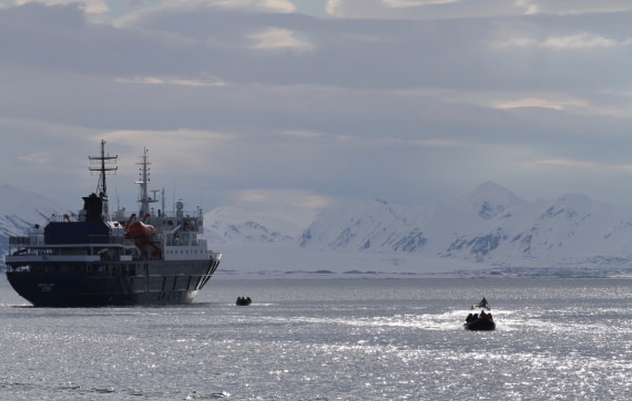 Zodiac transfer to Poolepynten and its  Walruses