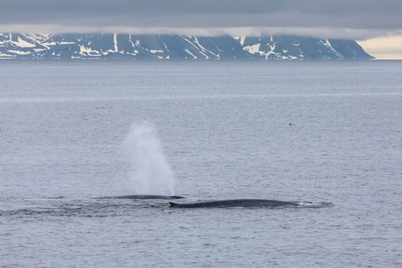 I'm here with you, son