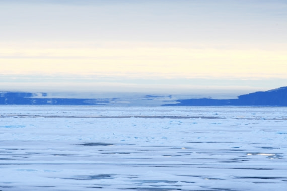 Svalbard pack ice © Geert Kroes - Oceanwide Expeditions.jpg