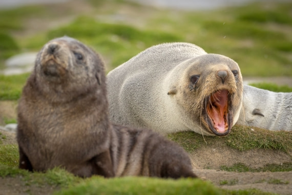 Protecting my kid....