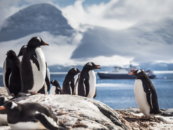 Antarktis_Dietmar Denger-27.jpg