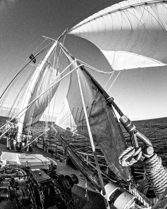 Rembrandt van Rijn blowing Spitsbergen-NE Greenland 8/2017