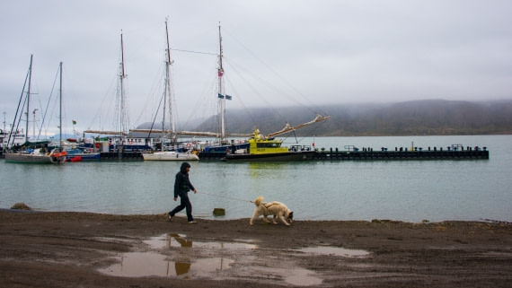 Rembrandt van Rijn )3 mastend schoner) ready for embarkation on spitsbergen - northeast greenland trip