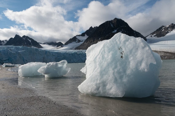 Eisberg im Magdalenenfjord