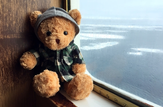 “I was waiting to see some other bears......"