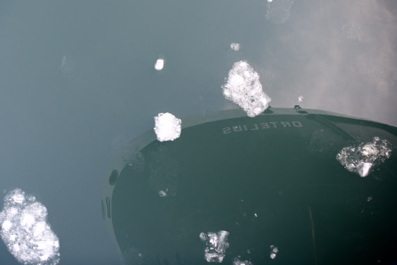 The reflection of Ortelius