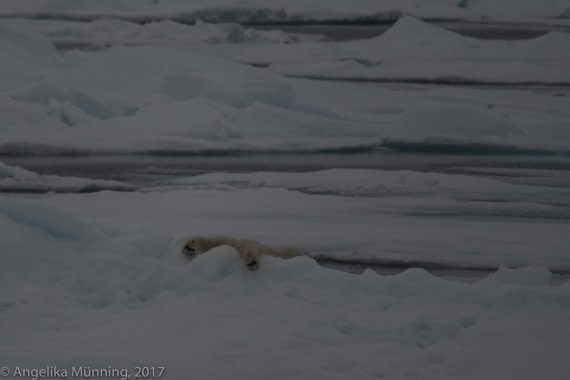 Ich bin dann mal weg...