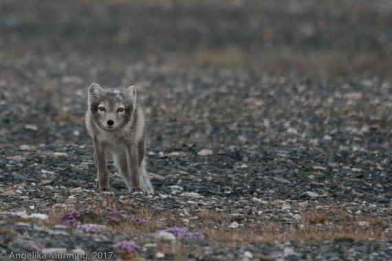Nur ein kurzer Augenblick...