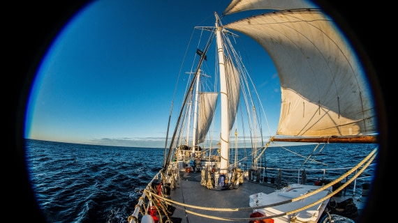 Power-Sailing to NE Greenland, Rembrandt van rijn august 2017