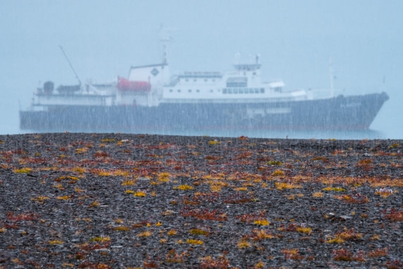 MS Plancius Greenland