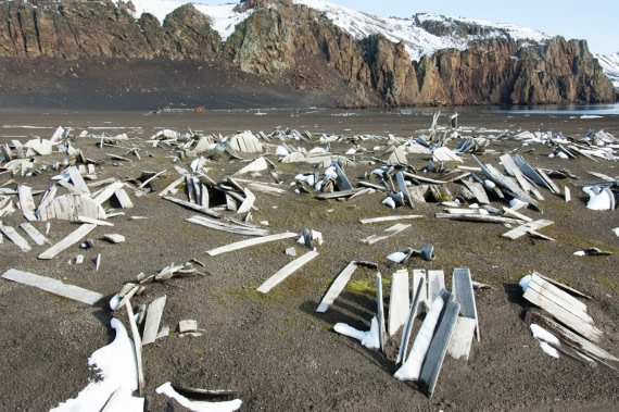 Deception Island Abandoned Barrels