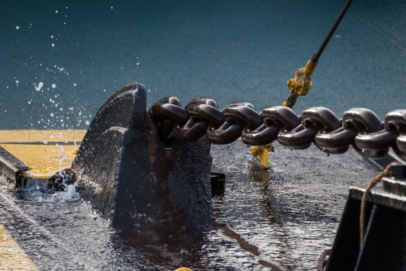 MS Plancius Greenland Exploration