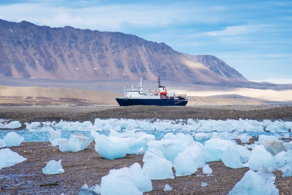 Magical Recherchebreen