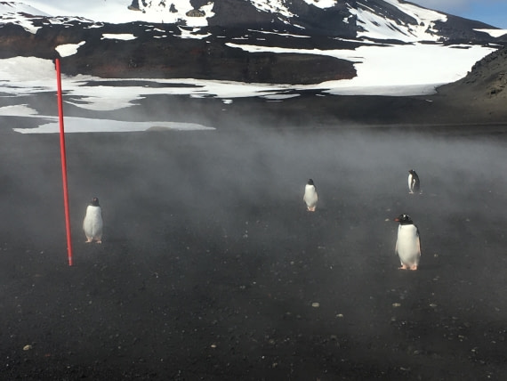 Thermal Beach Bathers