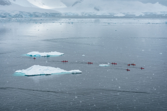 Kayakers amongst the icebergs