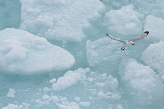 Success in fish catch