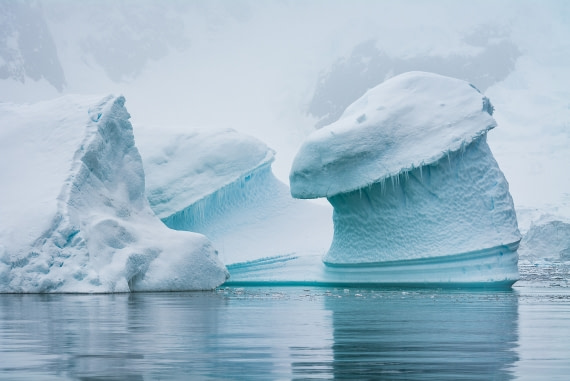 The most popular iceberg