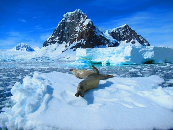 Afternoon shenanigans