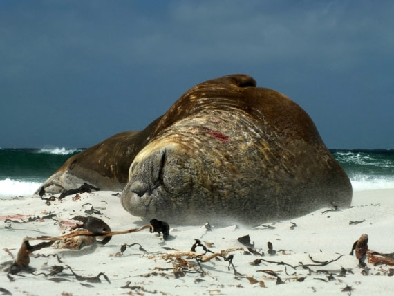 Just Another Hard Day