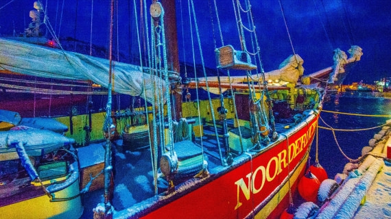 S/V Nooderlicht@Tromso,whales & auroras dec 2017